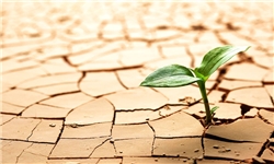 کاهش شدید منابع آبی و پوشش گیاهی
