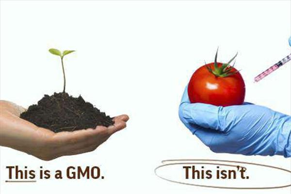 همایش ملی محصولات تراریخته در کرمانشاه