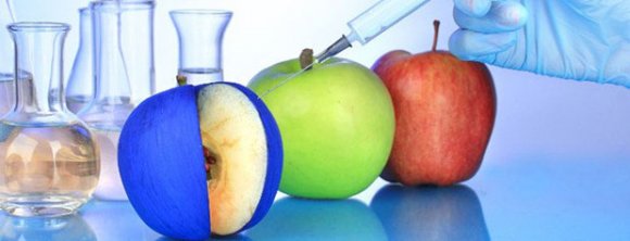 محصولات دستکاری شده ژنتیکی مفید هستند یا مضر؟ 