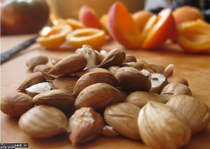 دشمن شماره یک سلول‌های سرطانی؛ هسته زردآلو