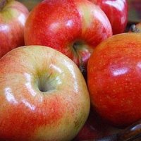 15 گزینه غذایی موثر، برای کاهش درد و التهاب 