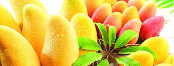 6 دلیل برای دوست داشتن انبه