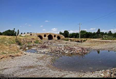 باغات سبزی جنوب شهر در معرض آلودگی