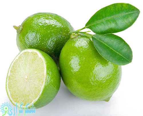 برای رفع تشنگی در ماه رمضان لیمو، ماست و سبزیجات مصرف کنید