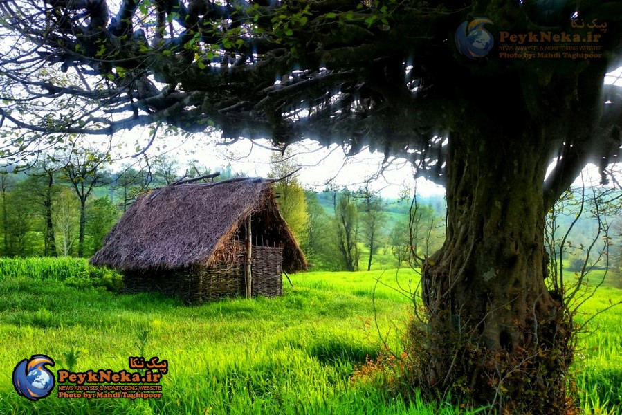 طبیعت زیبای چهار فصل هزارجریب نکا به روایت تصاویر