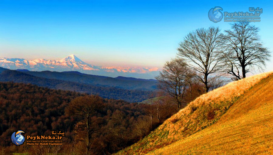 طبیعت زیبای چهار فصل هزارجریب نکا به روایت تصاویر