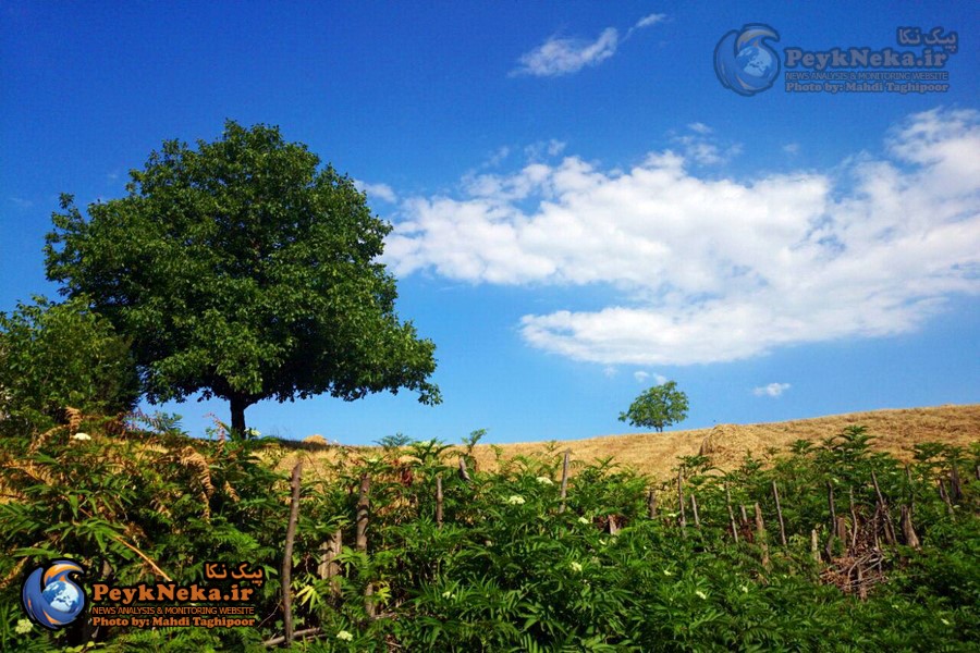 طبیعت زیبای چهار فصل هزارجریب نکا به روایت تصاویر