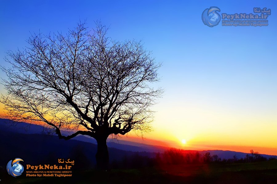 طبیعت زیبای چهار فصل هزارجریب نکا به روایت تصاویر