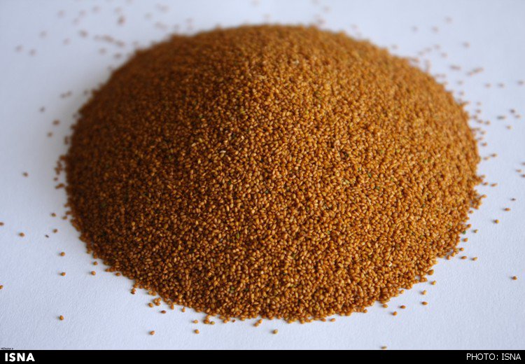 اگر صدایتان گرفته خاکشیر بخورید