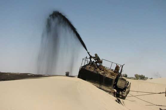 جنگل کاری تنها گزینه برای مقابله با گرد وغبار