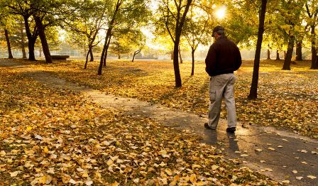پیاده روی درفضای سبز کلید پیشگیری ازافسردگی و فشارخون