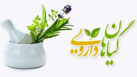 کشت گیاهان دارویی، ظرفیتی برای تولید و اشتغال