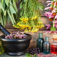 ترک اعتیاد با گیاهان دارویی؛ سراب یا واقعیت 