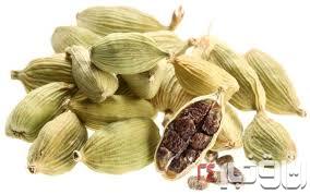 این گیاهان دارویی در درمان سرطان موثرند