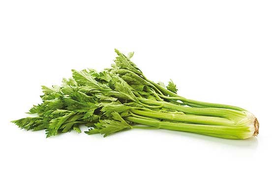 كرفس در يونان و مصر جنبه دارويي دارد