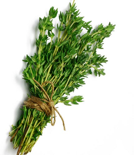 تاثیر آویشن در درمان جوش صورت و آکنه