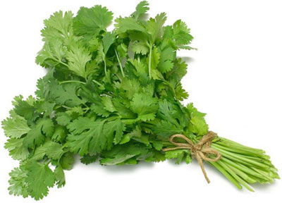 کاهش ریسک ابتلا به سرطان با مصرف جعفری و شوید