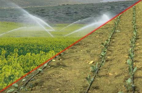 توصیه‌های ۶ روزه هواشناسی به کشاورزان