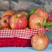 احساس گرسنگی خود را با این مواد غذایی کاهش دهید 