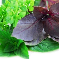 سبزی هایی که به پیشگیری از سرطان کمک می کنند