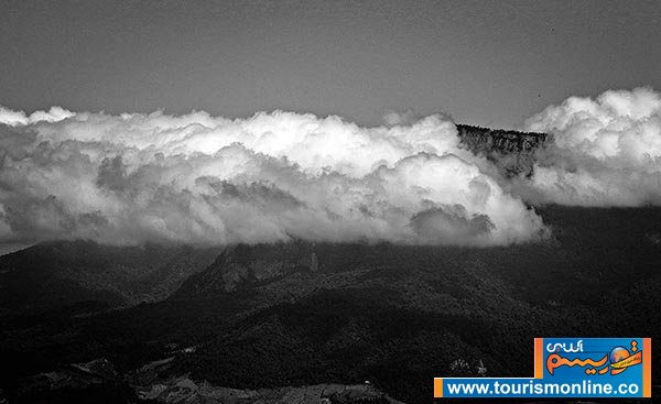 جنگل رویایی ابر در شاهرود