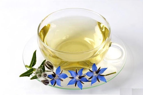 با دمنوش و عرق گیاهی بدنتان را در تابستان تقویت کنید