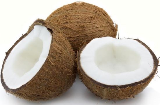 ضدزلزله با الهام از نارگیل