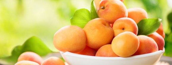 کنکوری‌ ها «میوه متفکرها» را فراموش نکنند