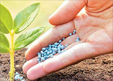 کود و سم موجود در مواد غذایی تهدیدی برای سلامت انسان