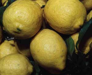 بالنگ خوشبو کننده دهان