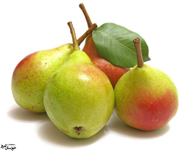 6 میوه تابستانی و 6 درمان