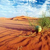 آلوده‌كنندگان خاك بايد جريمه بپردازند 