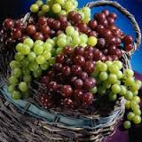 هسته انگور را بخوریم یا نه؟
