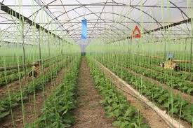 اختصاص تسهیلات به طرح های کشاورزی