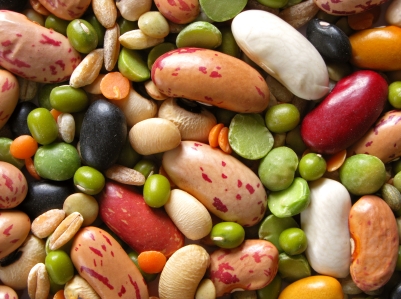 با منابع گیاهی سرشار از پروتئین آشنا شوید