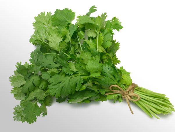 فواید شگفت‌انگیز جعفری برای پوست و مو