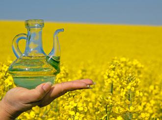 روغن‌ گیاهی که شما را جوان نگه میدارد!