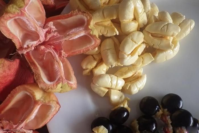 میوه‌های عجیبی که تابحال ندیده‌اید++++++++لینک برای چینش عکس ها آمده