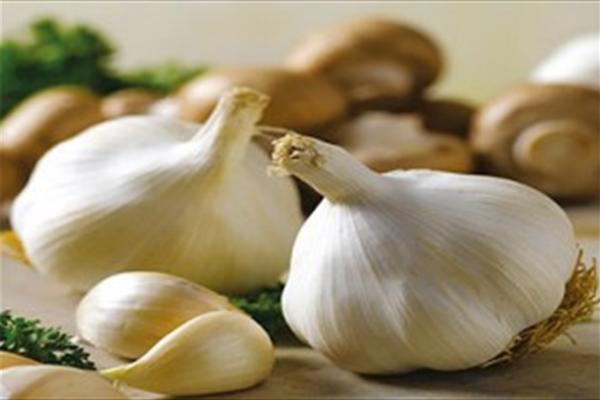 بدنتان را در برابر همه مریضی ها با این سبزی بیمه کنید