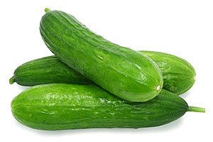 پرورش خیار با هوش مصنوعی گوگل!