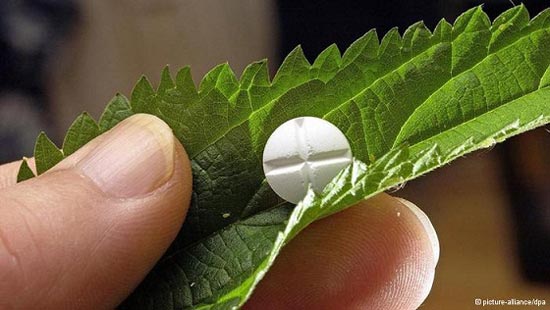 چرخ صنعت گیاهان دارویی به حرکت درآمده است