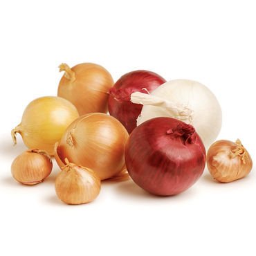 آشنایی با نقش پیاز در مبارزه با سرماخوردگی