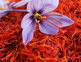 تولید درصد زعفران دنیا ایران