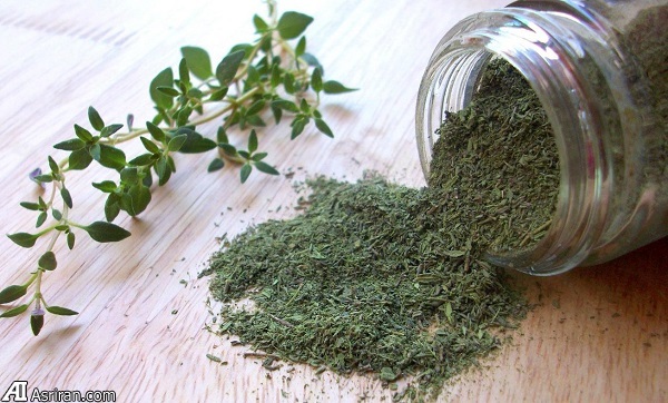 آویشن؛ فوق تخصص سلامت!