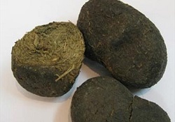 فواید بی نظیر عنبر نسارا