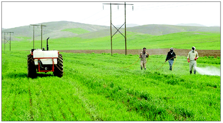 درآمد کشاورزان با اصلاح بازرگانی افزایش می‌یابد