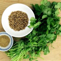 فواید شگفت انگیز گشنیز