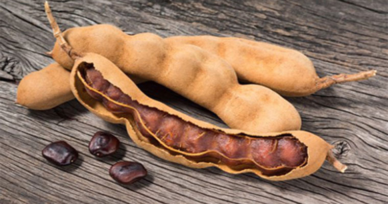 تمرهندی؛ میوه ای گرمسیری با فواید زیاد