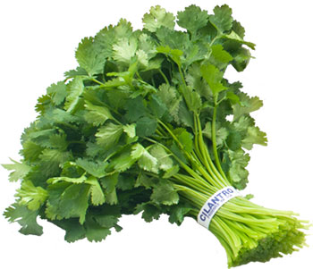 همه خواص گشنیز