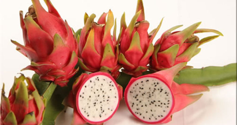 خواص و کاربرد میوه اژدهایی